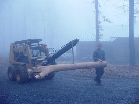 treeposts-1