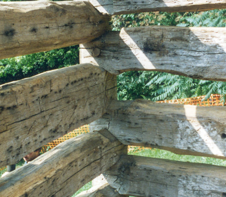 treeposts-2