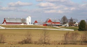 Barn Conversion Near Gaithersburg, MD (Photograph Courtesy of Fitzgerald's Heavy Timber Construction, Inc., 2006). 