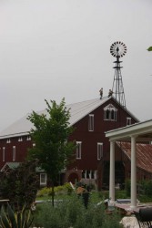 Lightning supression system being installed on the adjacent barn.  This roof is nearly fifty feet above the ground as measured at the ridge.