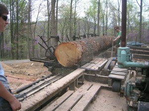 Milling New Oak Timbers 