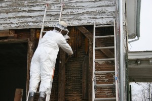As of Yet We Do Not Have an Official Bee Keeping Field Crew -- But we Made Do (Is There ANYTHING That Duct Tape Can't Do?)