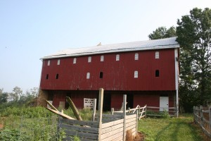Barnyard Side Before Construction