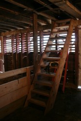 New Parlor Level Stairs
