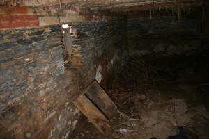 The Basement Was Full of Debris, Plant Growth, and Collapsed Building Materials.