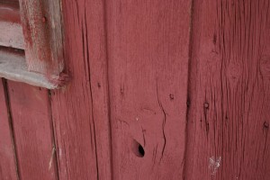 The barn is covered in a very unusual vertical scalloped-edge "German" siding in white pine.