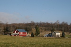 A beautiful and eye-catching part of a pristine agrarian landscape.
