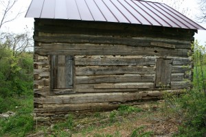 The chinking is nearly gone and the logs have suffered the ravages of weather for more than a century.