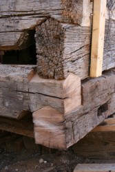 We've used salvaged material to replace the logs too deteriorated for continued service.