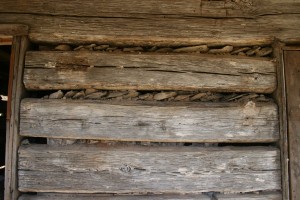 Flat stones used for nogging behind the chinking.