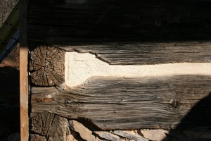 New chinking in traditional soft lime mortar.