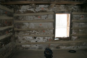 Interior chinking under way.  The log walls will remain exposed to the inside when the building is complete.