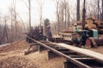Custom Sawn Timbers from Native Species